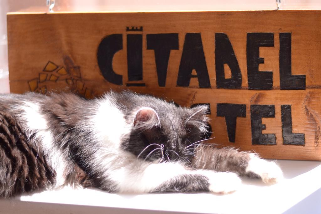Citadel Hostel Άλμπα Ιούλια Εξωτερικό φωτογραφία